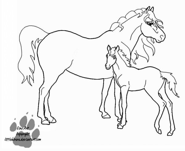 Жеребенок раскраска для детей