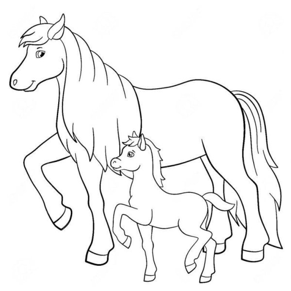 Раскраска лошадка с жеребенком
