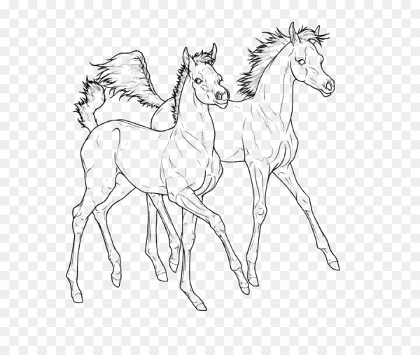 Раскраска лошадь с жеребенком