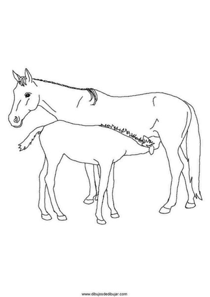 Раскраска. Лошади