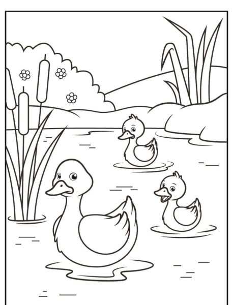 Duck раскраска for Kids