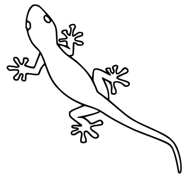 Геккон раскраска