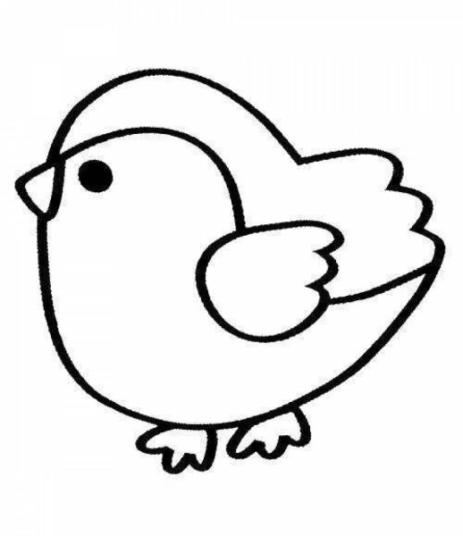 Раскраска для малышей. Птицы