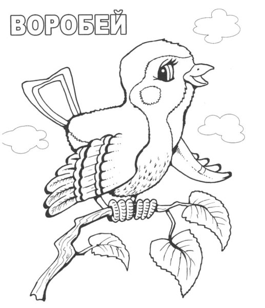 Воробьишко раскраска