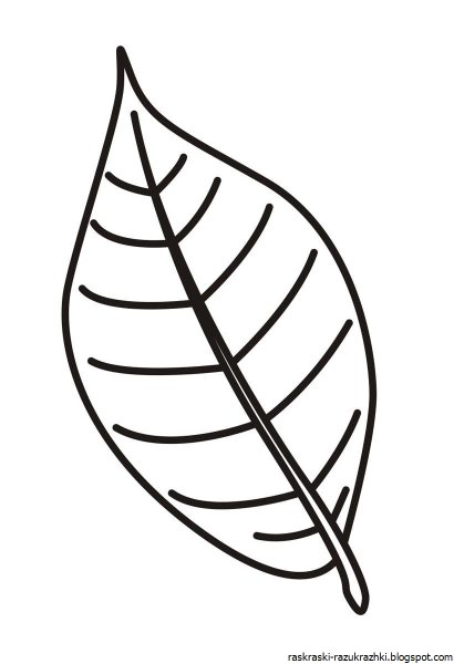 Листочки раскраска