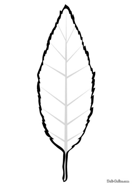 Листья деревьев шаблоны