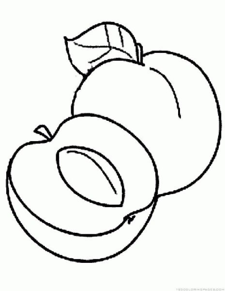 Абрикос раскраска