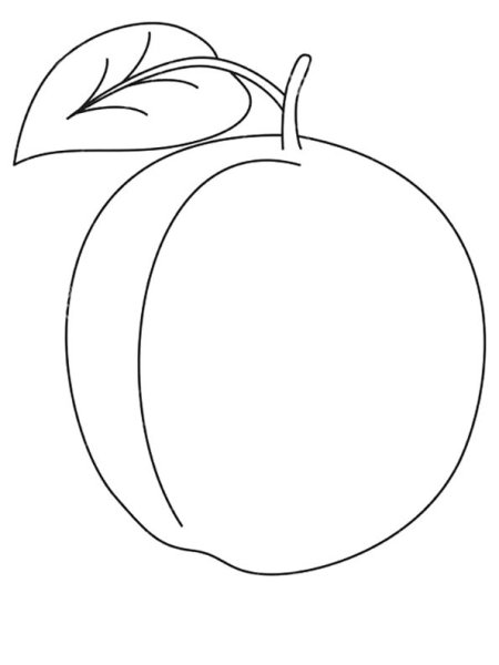 Абрикос раскраска