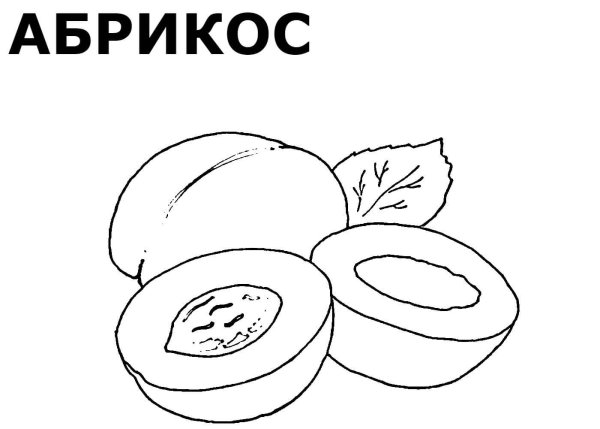 Персик абрикос киви раскраска