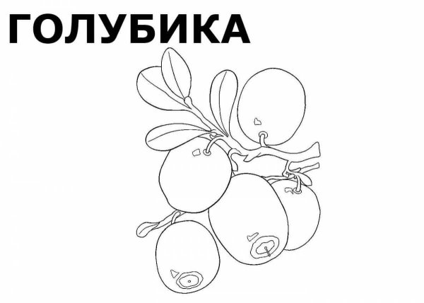 Ягоды раскраска для детей