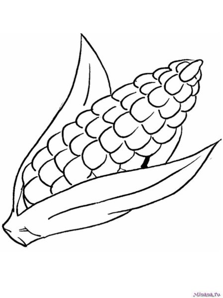 Кукуруза шаблон