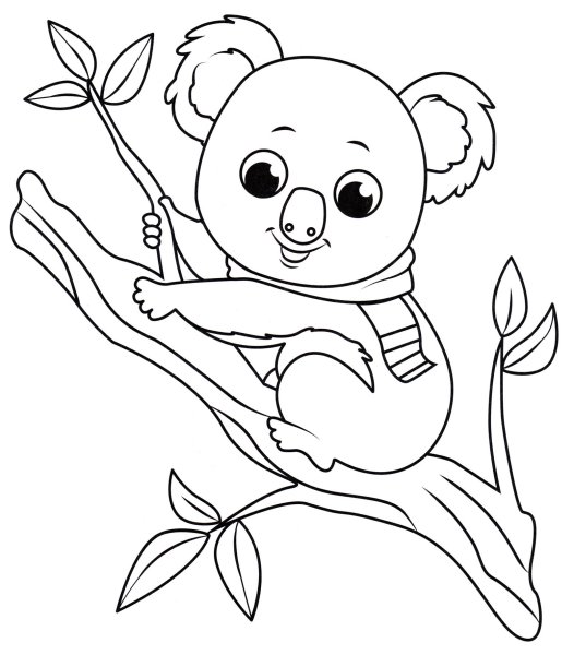 Коала. Раскраска