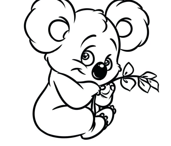 Коала. Раскраска