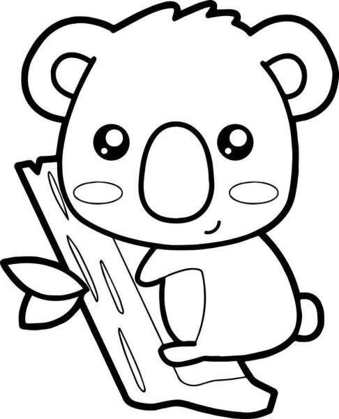 Коала раскраска для детей