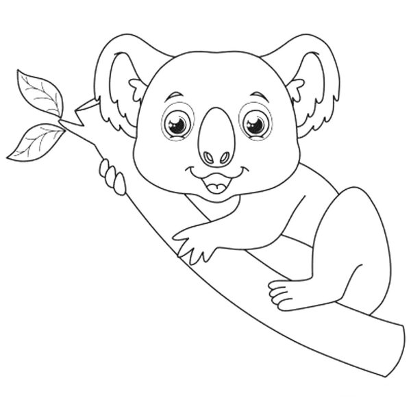Коала. Раскраска