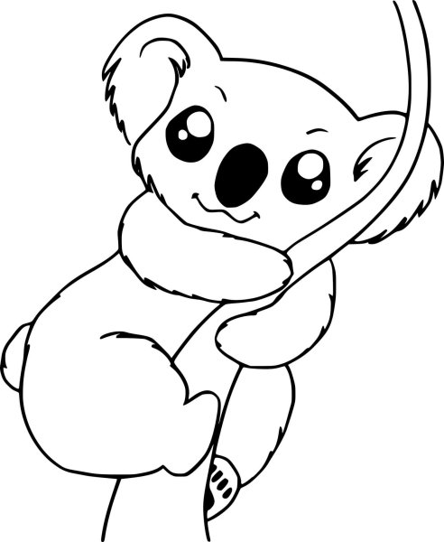 Коала раскраска для детей