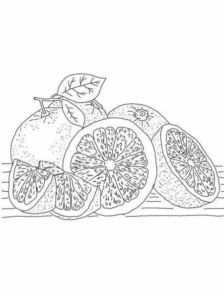 Раскраска фрукты грейпфрут