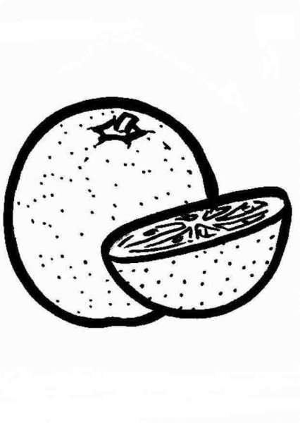 Грейпфрут раскраска для детей