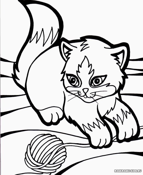 Раскраска кот