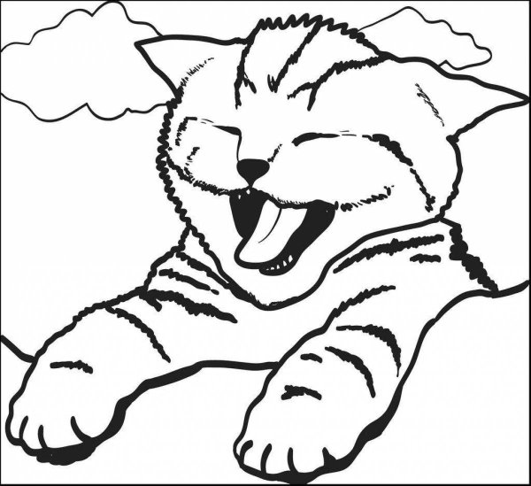 Раскраска кошечка