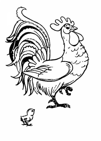 Раскраски по сказкам Сутеева