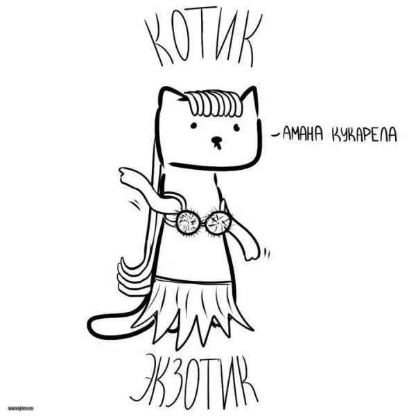 Котик бутербродик