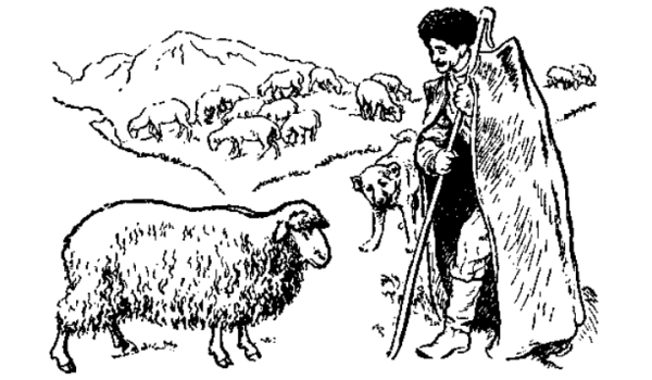 Пастух с овцами