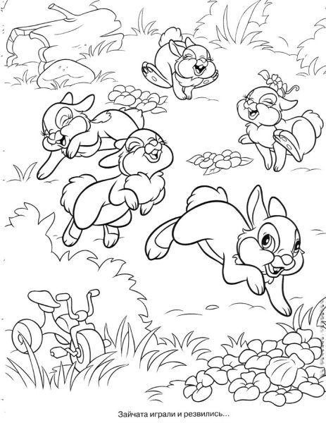 Зайец раскраска для детей