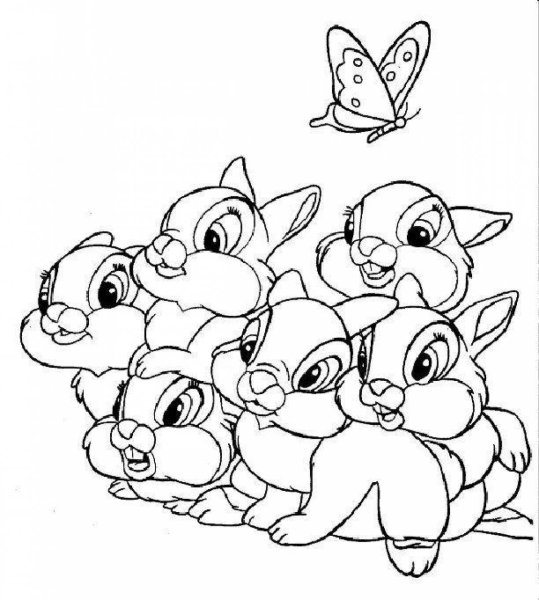 Зайка раскраска для детей