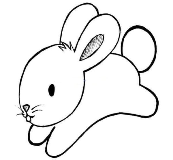 Раскраска зайчик