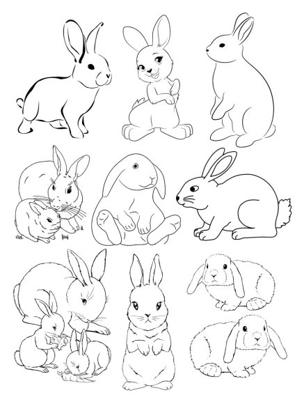 Заяц с морковкой раскраска