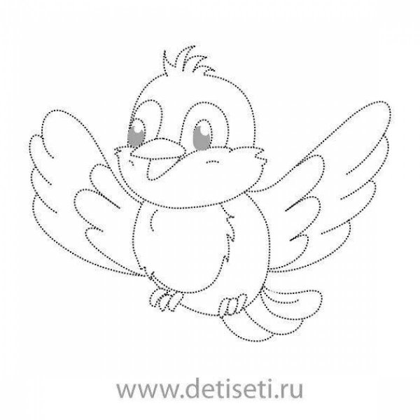 Раскраска обводить птиц