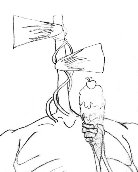 Скотт Кэмпбелл Русалочка