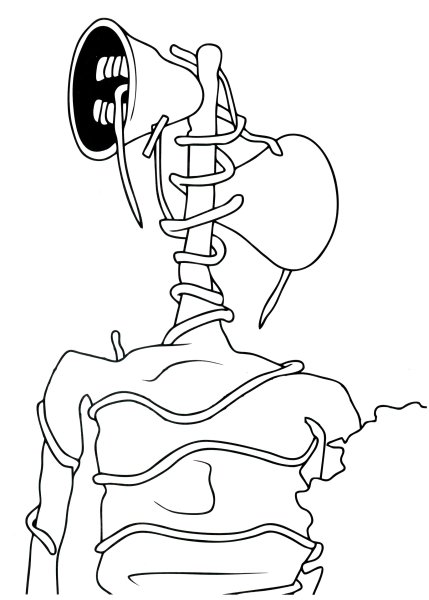 Русалка контур