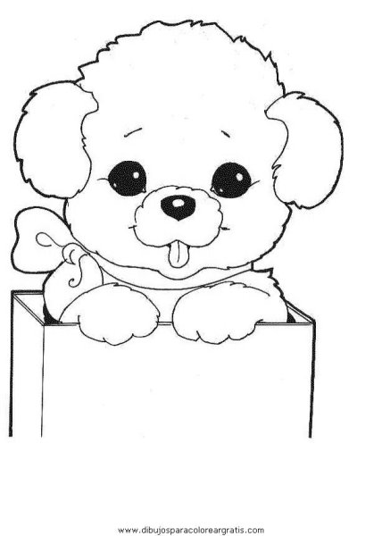 Раскраска маленькие собачки