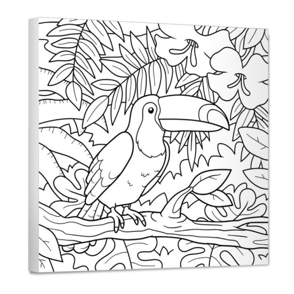 Тукан раскраска