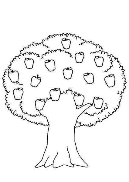 Яблоня раскраска