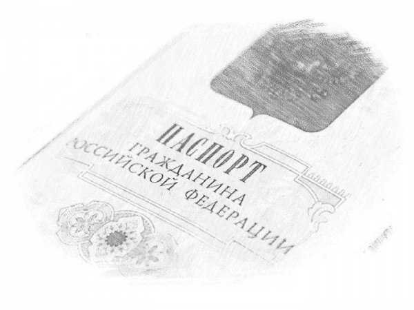 Паспорт рисунок