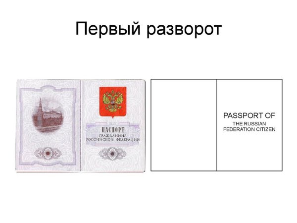 Паспорт шаблон