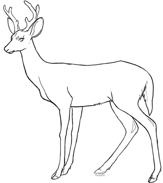 Косуля раскраска