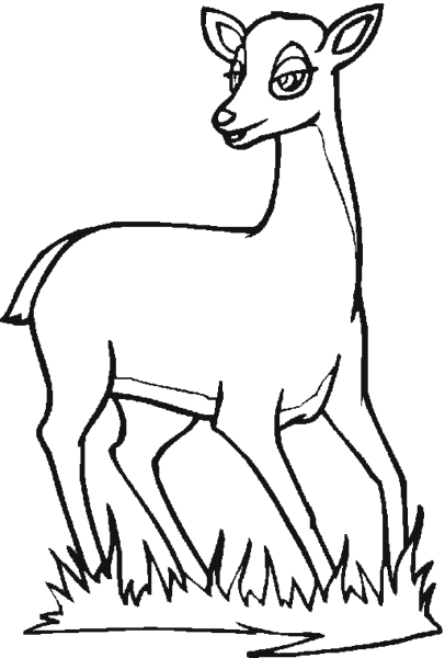 Косуля раскраска