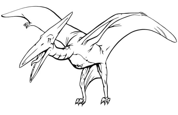 Раскраска динозавры птеродактиль