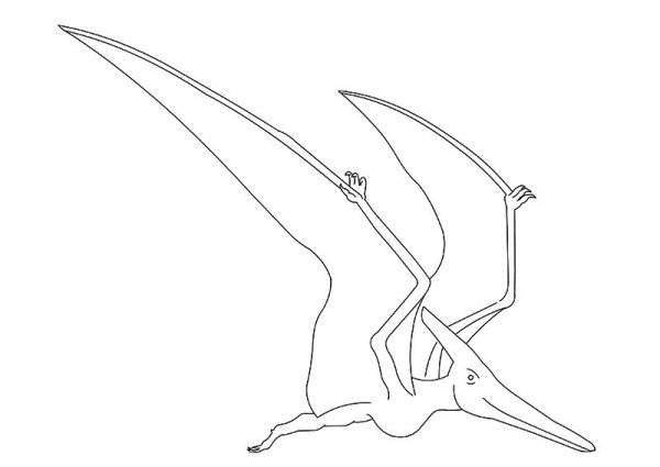 Птеродактиль фото