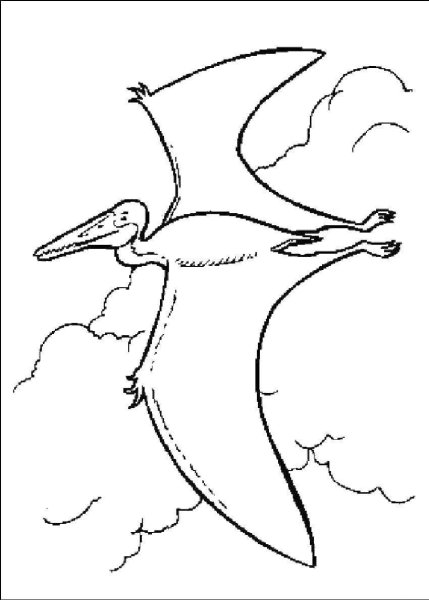 Раскраска динозавры птеродактиль