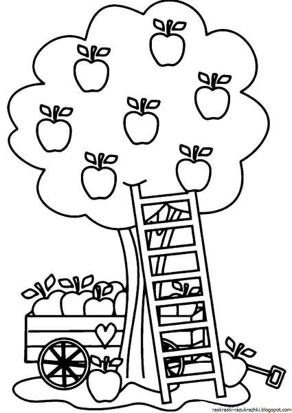 Сад раскраска для детей