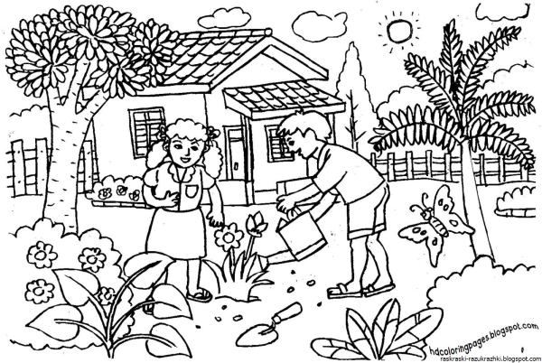 Сады. Раскраска