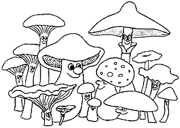 Картинки раскраски с грибами (50 фото)