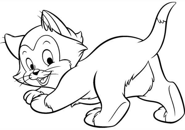 Раскраска. Котики