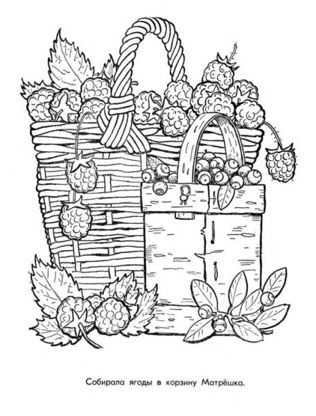 Корзина с ягодами раскраска