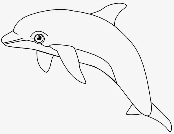 Картинки раскраски с дельфинами (51 фото)